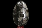 Septarian Dragon Egg Geode - Black Crystals #98875-3